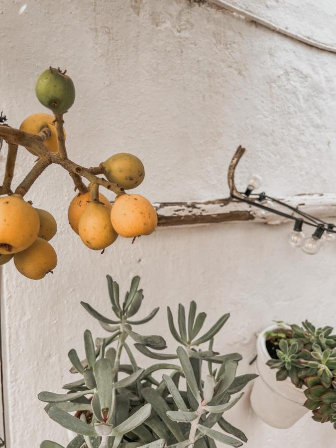 Apartamento C-Alma En El Corazon De Vejer Apartment เวเฮร์ เด ลา ฟรอนเตรา ภายนอก รูปภาพ